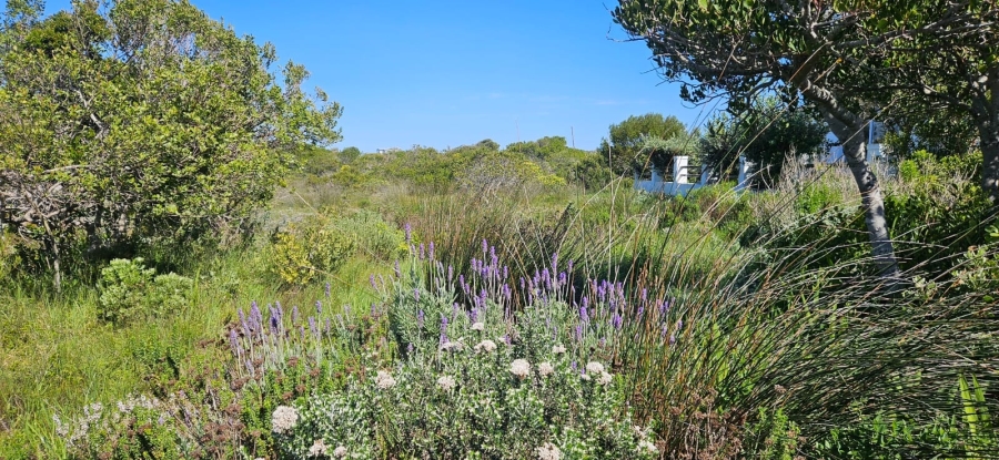 0 Bedroom Property for Sale in Kleinbaai Western Cape